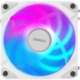 GIGABYTE AORUS EZ CHAIN FAN 120 ICE Scheda madre Ventilatore 12 cm Bianco 1 pz, Ventola bianco, Ventilatore, 12 cm, Bianco