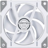 Phanteks D30-120 PWM Regular, Ventola bianco