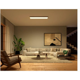 Philips Hue White & Color Ambiance Lampada a pannello rettangolare Surimu, Luce LED bianco