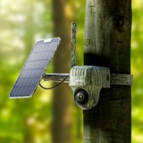 Reolink Go Series G450 + Solar Panel 2 Cupola Telecamera di sicurezza IP Esterno 3840 x 2160 Pixel Soffitto/muro, Telecamera di sorveglianza colore mimetico , Telecamera di sicurezza IP, Esterno, Con cavo e senza cavo, Google Assistant, Esterno, Soffitto/muro