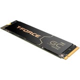 Team Group T-Force GA PRO 2 TB, Disco a stato solido Nero