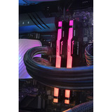 ALTERNATE AGP-WINDOW-INT-11, PC Gaming Nero/trasparente