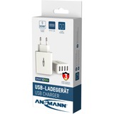 Ansmann HC430 Bianco Interno bianco, Interno, AC, 5 V, Bianco