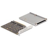 DeLOCK 90210, Scheda di interfaccia 