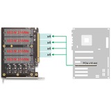 DeLOCK Scheda PCI Express x16 a 4x NVMe M.2 Key interna, Scheda di interfaccia 