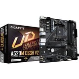 GIGABYTE A520M DS3H V2, Scheda madre 