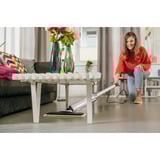 Kärcher 1.513-500.0, Pulitore a vapore bianco