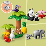 LEGO DUPLO Animali del mondo Set da costruzione, 2 anno/i, Plastica, 142 pz, 3,21 kg