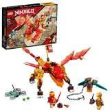 LEGO NINJAGO Dragone del fuoco di Kai - EVOLUTION Set da costruzione, 6 anno/i, Plastica, 204 pz, 319 g