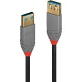 Lindy 36762 cavo USB USB 3.2 Gen 1 (3.1 Gen 1) 2 m USB A Nero, Cavo di prolunga Nero/grigio, 2 m, USB A, USB A, USB 3.2 Gen 1 (3.1 Gen 1), 5 Gbit/s, Nero