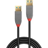 Lindy 36762 cavo USB USB 3.2 Gen 1 (3.1 Gen 1) 2 m USB A Nero, Cavo di prolunga Nero/grigio, 2 m, USB A, USB A, USB 3.2 Gen 1 (3.1 Gen 1), 5 Gbit/s, Nero