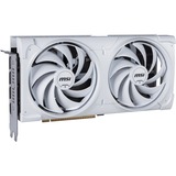 MSI V532-004R, Scheda grafica 