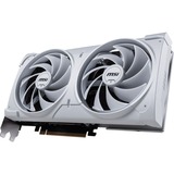 MSI V532-004R, Scheda grafica 