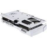 MSI V532-004R, Scheda grafica 