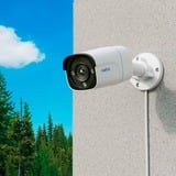 Reolink P340 Pallottola (forma) Telecamera di sicurezza IP Interno e esterno 4512 x 2512 Pixel Parete, Telecamera di sorveglianza bianco/Nero, Telecamera di sicurezza IP, Interno e esterno, Cablato, 700 lm, 6500 K, Interno