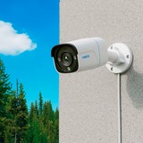 Reolink P340, Telecamera di sorveglianza bianco/Nero