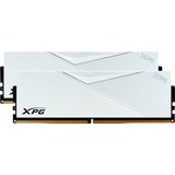 ADATA AX5U6000C3016G-DCLAWH bianco