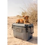 Coleman Convoy 55 QT, Scatola cool grigio scuro