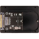 DeLOCK Convertitore 2,5″ U.2 SFF-8639 a M.2 NVMe Nero