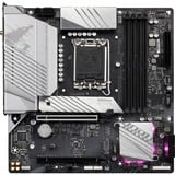 GIGABYTE B760M AORUS ELITE AX, Scheda madre argento