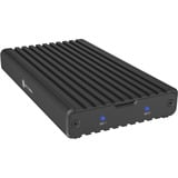 ICY BOX 61121, Disk enclosure Nero