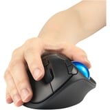 Kensington K72194WW, Trackball Nero/Blu