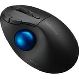 Kensington Pro Fit Ergo TB450 Trackball Nero/Blu, Mano destra, Trackball, RF senza fili + Bluetooth, 1600 DPI, Nero, Blu