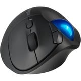 Kensington Pro Fit Ergo TB450 Trackball Nero/Blu, Mano destra, Trackball, RF senza fili + Bluetooth, 1600 DPI, Nero, Blu