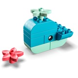 LEGO 30648 