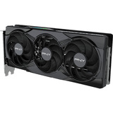 PNY GeForce RTX 5060 ARGB Triple Fan OC, Scheda grafica 