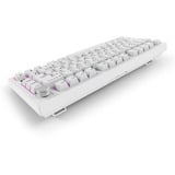 Sharkoon SKILLER SGK55W, Tastiera da gioco bianco