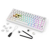 Sharkoon SKILLER SGK55W, Tastiera da gioco bianco
