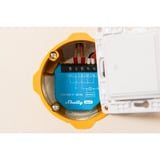 Shelly 2L Gen3, Relè ciano