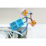 Shelly 2L Gen3, Relè ciano