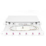 Digitus DN-96330-4, Scatola di giunzione grigio