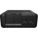 ICY BOX IB-2925MS-CU31, Docking station Nero