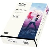 Inapa Tecno colors bianco A4, Carta 