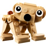 LEGO 30666, Giochi di costruzione 