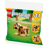 LEGO 30666, Giochi di costruzione 