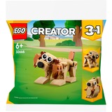 LEGO 30666, Giochi di costruzione 