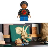 LEGO 76969, Giochi di costruzione 