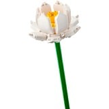 LEGO Fiori di loto, Giochi di costruzione Set da costruzione, 8 anno/i, Plastica, 220 pz, 173 g