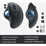 Logitech ERGO M575 for Business mouse Mano destra RF senza fili + Bluetooth Trackball 2000 DPI grafite/Blu, Mano destra, Trackball, RF senza fili + Bluetooth, 2000 DPI, Grafite