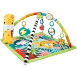 Mattel HJW08 palestra per bambino e tappeto di gioco Tessuto, Plastica Multicolore Tappetino da gioco per bambino, Gioco di scheda/coperta Tappetino da gioco per bambino, Arco giocattolo, Sonoro, Multicolore, Tessuto, Plastica