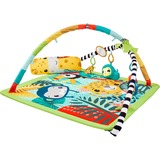 Mattel HJW08 palestra per bambino e tappeto di gioco Tessuto, Plastica Multicolore Tappetino da gioco per bambino, Gioco di scheda/coperta Tappetino da gioco per bambino, Arco giocattolo, Sonoro, Multicolore, Tessuto, Plastica