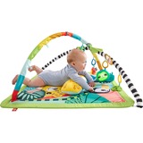 Mattel HJW08 palestra per bambino e tappeto di gioco Tessuto, Plastica Multicolore Tappetino da gioco per bambino, Gioco di scheda/coperta Tappetino da gioco per bambino, Arco giocattolo, Sonoro, Multicolore, Tessuto, Plastica
