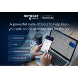 Netgear RS700S-100EUS 