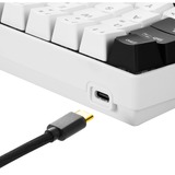 Sharkoon SGK50 S4 tastiera USB QWERTZ Tedesco Bianco bianco/Nero, 60%, USB, QWERTZ, LED RGB, Bianco