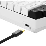 Sharkoon SGK50 S4 tastiera USB QWERTZ Tedesco Bianco, Tastiera da gioco bianco/Nero, 60%, USB, QWERTZ, LED RGB, Bianco