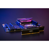 Crucial CP2K32G60C40U5B Nero
